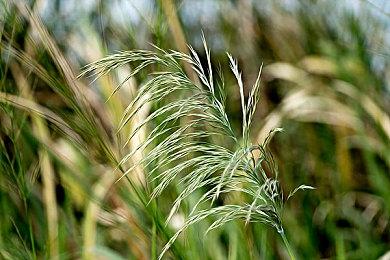 6人混乱太空合作游戏《虚空航船》即将登陆主机平台！