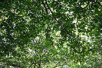 10月11日金秋相会 《龙珠：电光火石0》上市日期公布